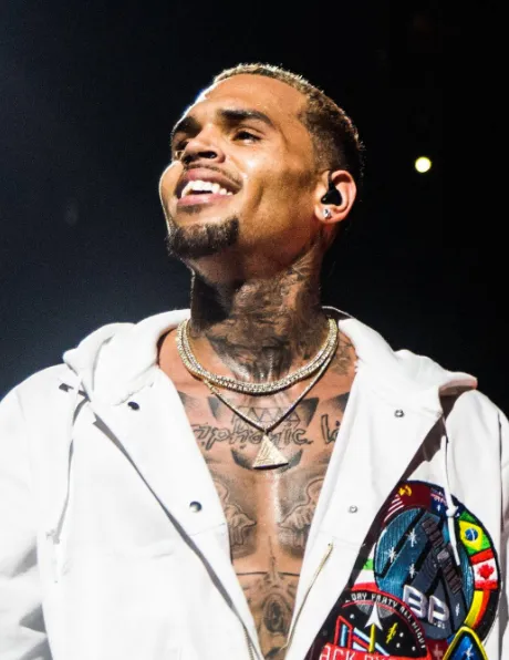 chris brown's net worth